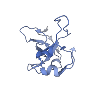 11394_6zsd_XL_v4-0
Human mitochondrial ribosome in complex with mRNA, P-site tRNA and E-site tRNA