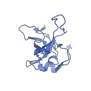 11394_6zsd_XL_v4-1
Human mitochondrial ribosome in complex with mRNA, P-site tRNA and E-site tRNA