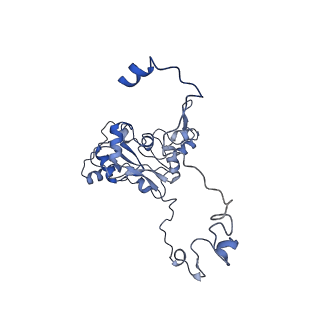 11394_6zsd_XM_v1-0
Human mitochondrial ribosome in complex with mRNA, P-site tRNA and E-site tRNA