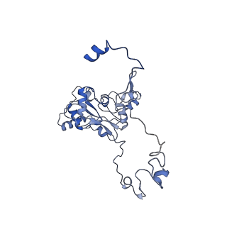 11394_6zsd_XM_v4-1
Human mitochondrial ribosome in complex with mRNA, P-site tRNA and E-site tRNA