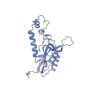 11394_6zsd_XN_v1-0
Human mitochondrial ribosome in complex with mRNA, P-site tRNA and E-site tRNA