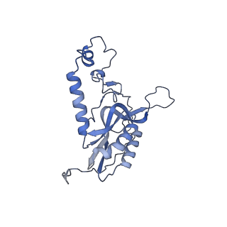 11394_6zsd_XN_v4-1
Human mitochondrial ribosome in complex with mRNA, P-site tRNA and E-site tRNA