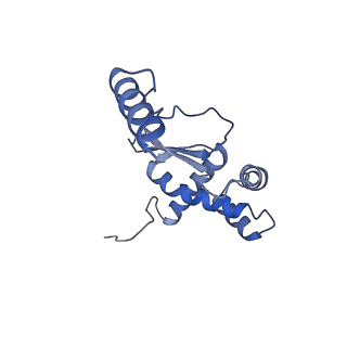 11394_6zsd_XO_v1-0
Human mitochondrial ribosome in complex with mRNA, P-site tRNA and E-site tRNA