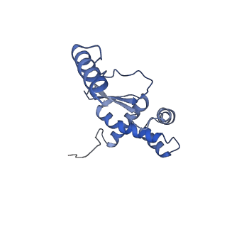 11394_6zsd_XO_v4-1
Human mitochondrial ribosome in complex with mRNA, P-site tRNA and E-site tRNA