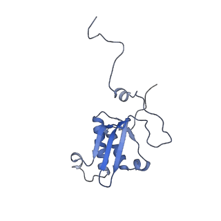 11394_6zsd_XP_v4-1
Human mitochondrial ribosome in complex with mRNA, P-site tRNA and E-site tRNA