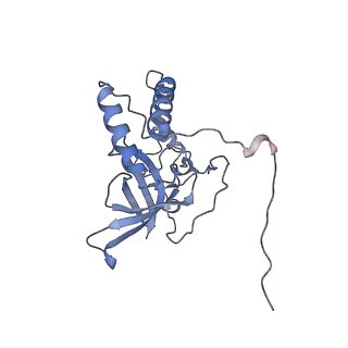 11394_6zsd_XQ_v1-0
Human mitochondrial ribosome in complex with mRNA, P-site tRNA and E-site tRNA