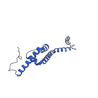 11394_6zsd_XR_v4-1
Human mitochondrial ribosome in complex with mRNA, P-site tRNA and E-site tRNA