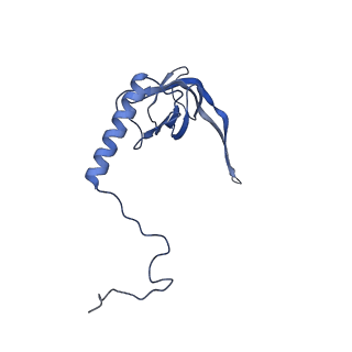 11394_6zsd_XS_v1-0
Human mitochondrial ribosome in complex with mRNA, P-site tRNA and E-site tRNA