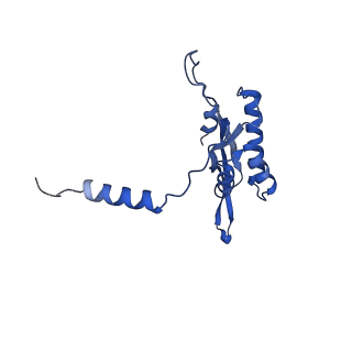 11394_6zsd_XT_v1-0
Human mitochondrial ribosome in complex with mRNA, P-site tRNA and E-site tRNA