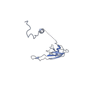 11394_6zsd_XU_v1-0
Human mitochondrial ribosome in complex with mRNA, P-site tRNA and E-site tRNA