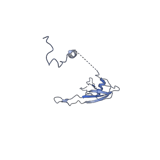 11394_6zsd_XU_v4-1
Human mitochondrial ribosome in complex with mRNA, P-site tRNA and E-site tRNA