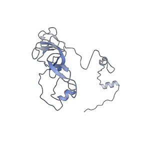11394_6zsd_XV_v1-0
Human mitochondrial ribosome in complex with mRNA, P-site tRNA and E-site tRNA