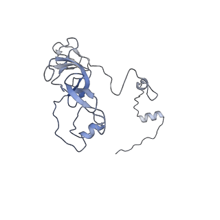 11394_6zsd_XV_v4-1
Human mitochondrial ribosome in complex with mRNA, P-site tRNA and E-site tRNA