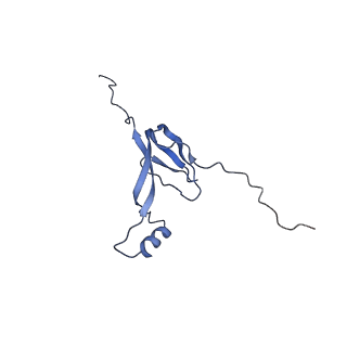 11394_6zsd_XW_v4-1
Human mitochondrial ribosome in complex with mRNA, P-site tRNA and E-site tRNA