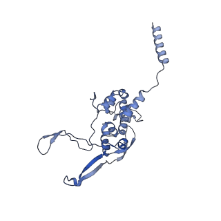 11394_6zsd_XX_v1-0
Human mitochondrial ribosome in complex with mRNA, P-site tRNA and E-site tRNA