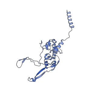 11394_6zsd_XX_v4-1
Human mitochondrial ribosome in complex with mRNA, P-site tRNA and E-site tRNA