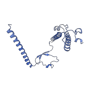 11394_6zsd_XY_v1-0
Human mitochondrial ribosome in complex with mRNA, P-site tRNA and E-site tRNA