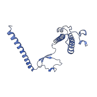 11394_6zsd_XY_v2-0
Human mitochondrial ribosome in complex with mRNA, P-site tRNA and E-site tRNA
