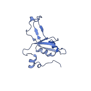 11394_6zsd_XZ_v1-0
Human mitochondrial ribosome in complex with mRNA, P-site tRNA and E-site tRNA