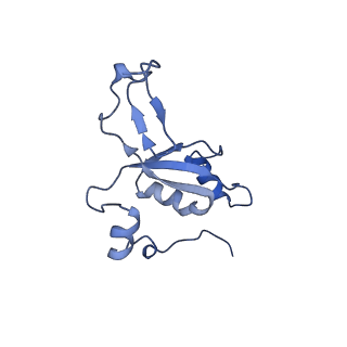 11394_6zsd_XZ_v4-1
Human mitochondrial ribosome in complex with mRNA, P-site tRNA and E-site tRNA