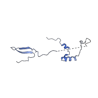 11394_6zsd_a_v1-0
Human mitochondrial ribosome in complex with mRNA, P-site tRNA and E-site tRNA