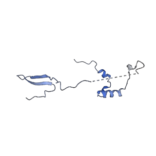 11394_6zsd_a_v4-1
Human mitochondrial ribosome in complex with mRNA, P-site tRNA and E-site tRNA