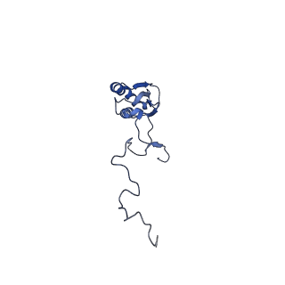11394_6zsd_b_v1-0
Human mitochondrial ribosome in complex with mRNA, P-site tRNA and E-site tRNA