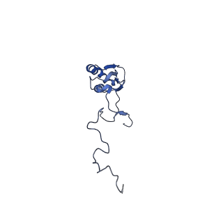 11394_6zsd_b_v4-1
Human mitochondrial ribosome in complex with mRNA, P-site tRNA and E-site tRNA