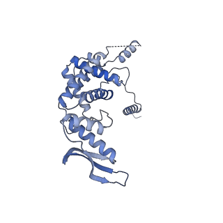 11394_6zsd_c_v1-0
Human mitochondrial ribosome in complex with mRNA, P-site tRNA and E-site tRNA