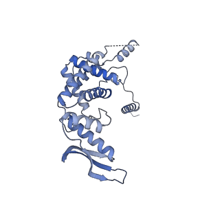 11394_6zsd_c_v4-1
Human mitochondrial ribosome in complex with mRNA, P-site tRNA and E-site tRNA