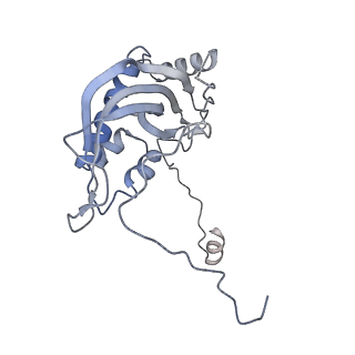 11394_6zsd_d_v1-0
Human mitochondrial ribosome in complex with mRNA, P-site tRNA and E-site tRNA