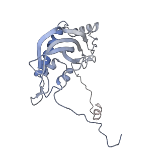 11394_6zsd_d_v2-0
Human mitochondrial ribosome in complex with mRNA, P-site tRNA and E-site tRNA