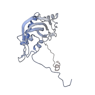 11394_6zsd_d_v4-1
Human mitochondrial ribosome in complex with mRNA, P-site tRNA and E-site tRNA