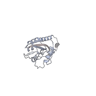 11394_6zsd_e_v4-1
Human mitochondrial ribosome in complex with mRNA, P-site tRNA and E-site tRNA