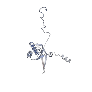 11394_6zsd_f_v1-0
Human mitochondrial ribosome in complex with mRNA, P-site tRNA and E-site tRNA