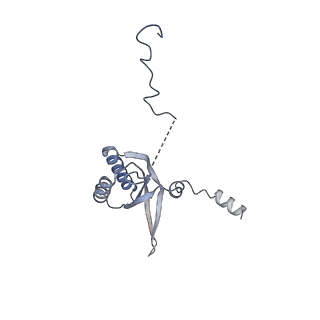 11394_6zsd_f_v4-1
Human mitochondrial ribosome in complex with mRNA, P-site tRNA and E-site tRNA