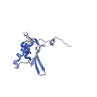 11394_6zsd_g_v1-0
Human mitochondrial ribosome in complex with mRNA, P-site tRNA and E-site tRNA