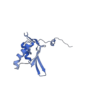 11394_6zsd_g_v4-1
Human mitochondrial ribosome in complex with mRNA, P-site tRNA and E-site tRNA