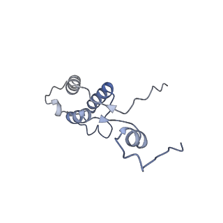11394_6zsd_h_v1-0
Human mitochondrial ribosome in complex with mRNA, P-site tRNA and E-site tRNA