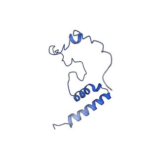 11394_6zsd_i_v4-1
Human mitochondrial ribosome in complex with mRNA, P-site tRNA and E-site tRNA