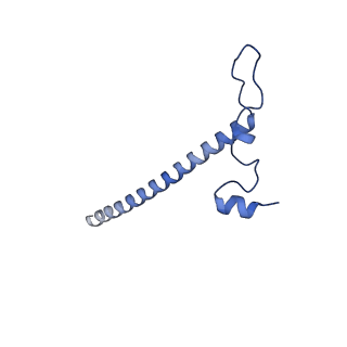 11394_6zsd_j_v1-0
Human mitochondrial ribosome in complex with mRNA, P-site tRNA and E-site tRNA
