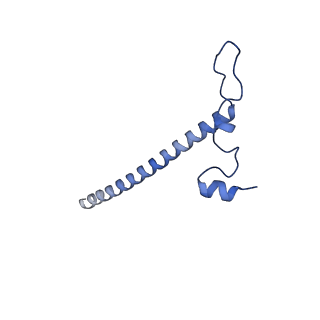 11394_6zsd_j_v2-0
Human mitochondrial ribosome in complex with mRNA, P-site tRNA and E-site tRNA