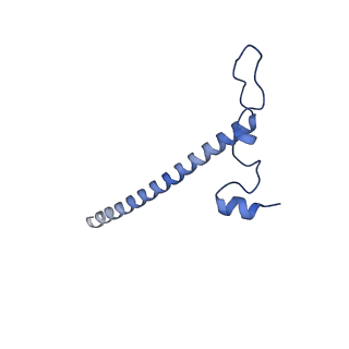 11394_6zsd_j_v4-1
Human mitochondrial ribosome in complex with mRNA, P-site tRNA and E-site tRNA