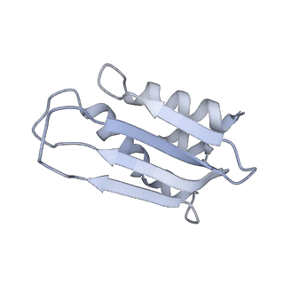11394_6zsd_k_v1-0
Human mitochondrial ribosome in complex with mRNA, P-site tRNA and E-site tRNA