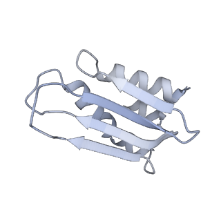 11394_6zsd_k_v2-0
Human mitochondrial ribosome in complex with mRNA, P-site tRNA and E-site tRNA