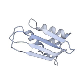 11394_6zsd_k_v4-1
Human mitochondrial ribosome in complex with mRNA, P-site tRNA and E-site tRNA