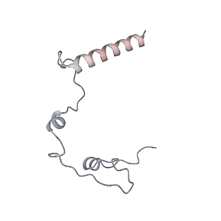 11394_6zsd_l_v1-0
Human mitochondrial ribosome in complex with mRNA, P-site tRNA and E-site tRNA