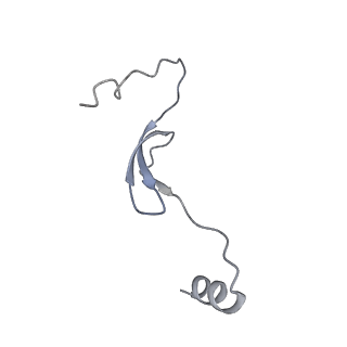 11394_6zsd_m_v1-0
Human mitochondrial ribosome in complex with mRNA, P-site tRNA and E-site tRNA