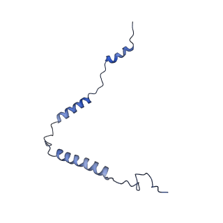 11394_6zsd_o_v1-0
Human mitochondrial ribosome in complex with mRNA, P-site tRNA and E-site tRNA