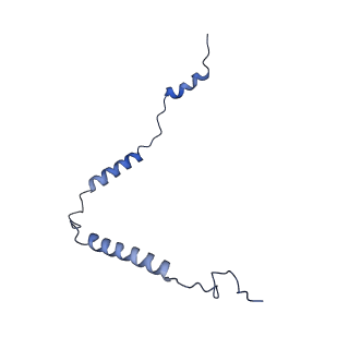 11394_6zsd_o_v4-1
Human mitochondrial ribosome in complex with mRNA, P-site tRNA and E-site tRNA